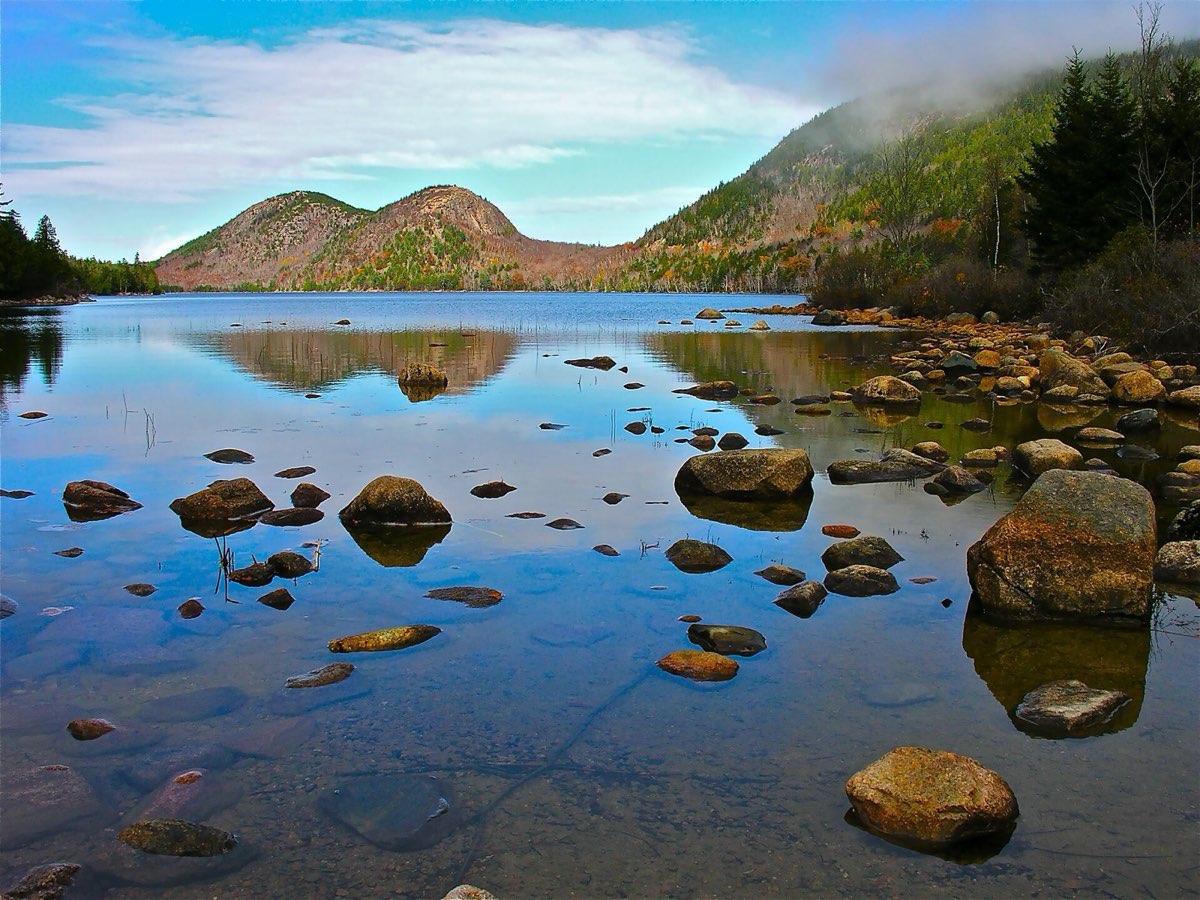 Rocky Atlantic coastline with pink granite and spruce at Acadia National Park