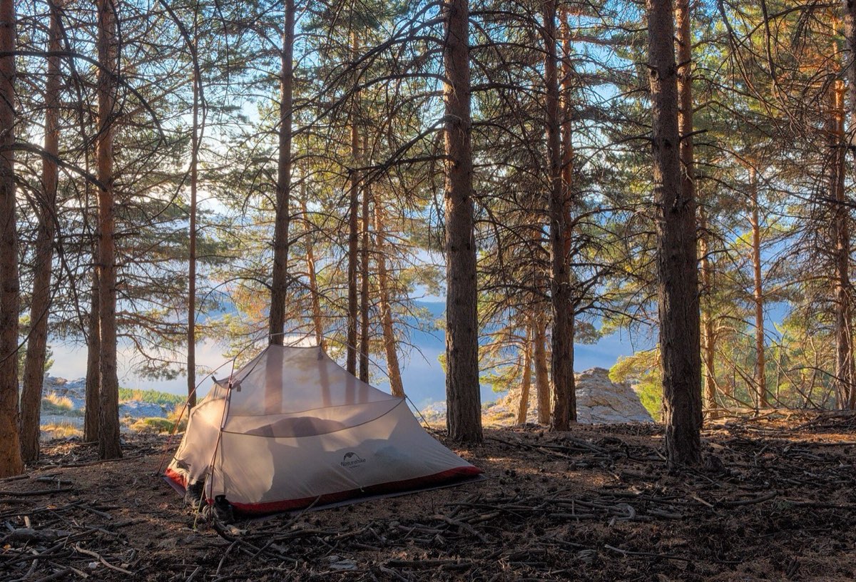 A tent pitched in a forest clearing at dusk with warm light inside