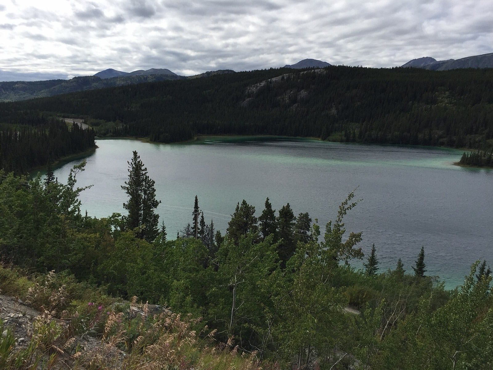 Emerald Lake's green shallows ringed by boreal forest south of Whitehorse