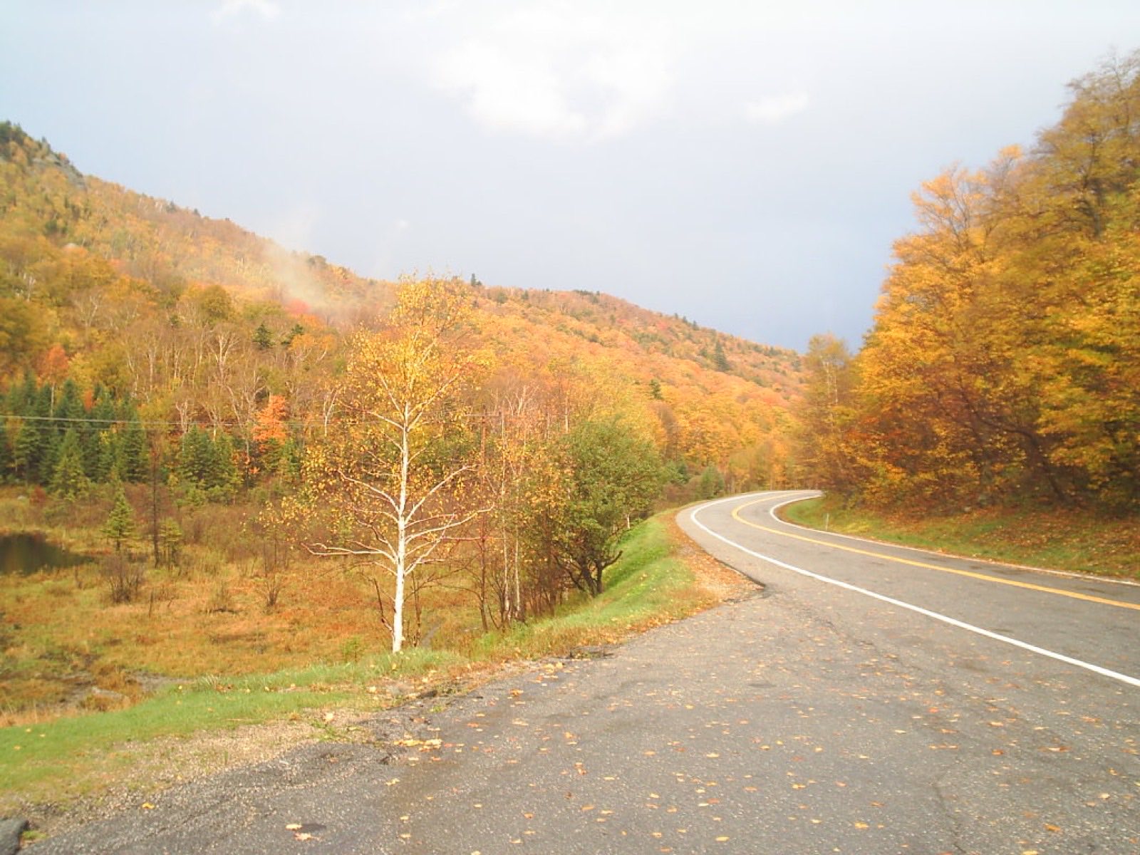 A two-lane road curving through hillsides of orange and gold maples