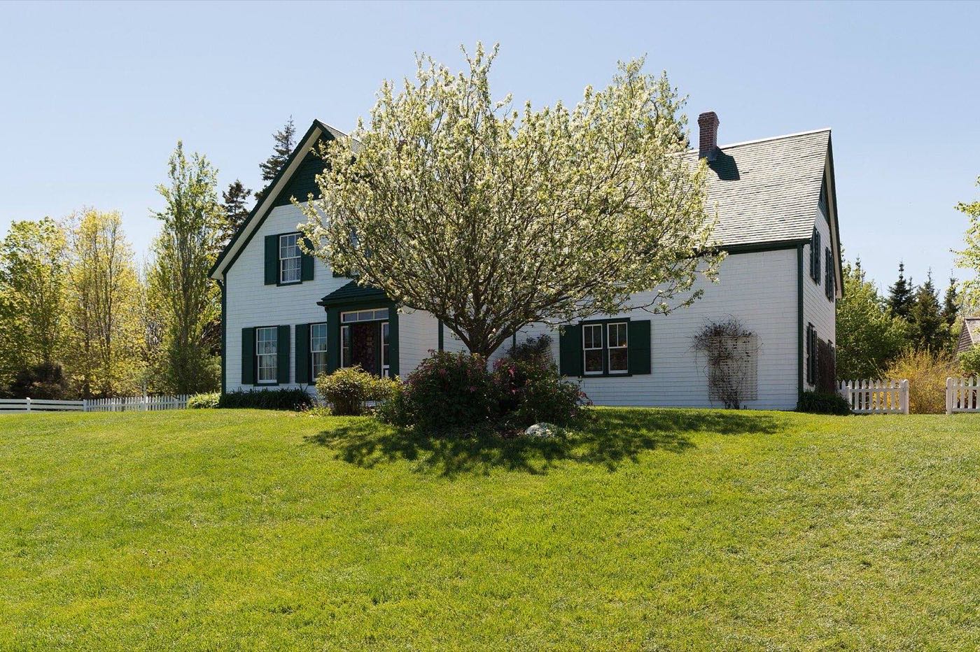 The white farmhouse with green gables behind a blossoming tree in Cavendish
