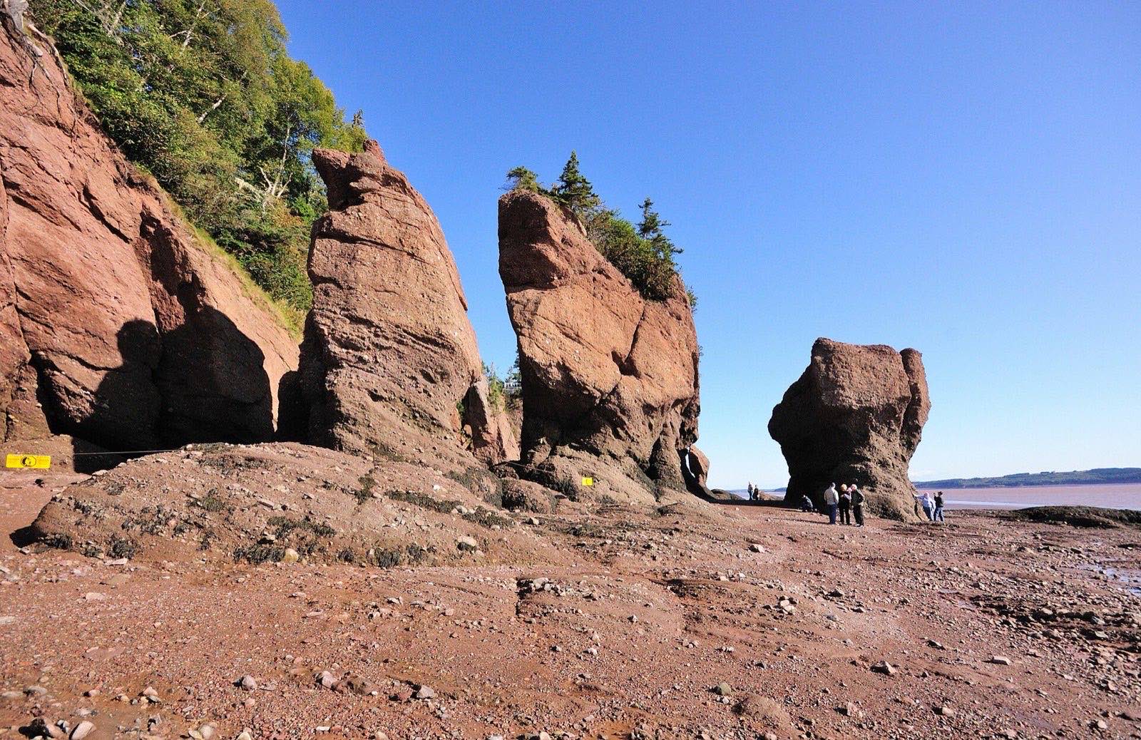 The flowerpot sea stacks at Hopewell Rocks with people walking the exposed ocean floor