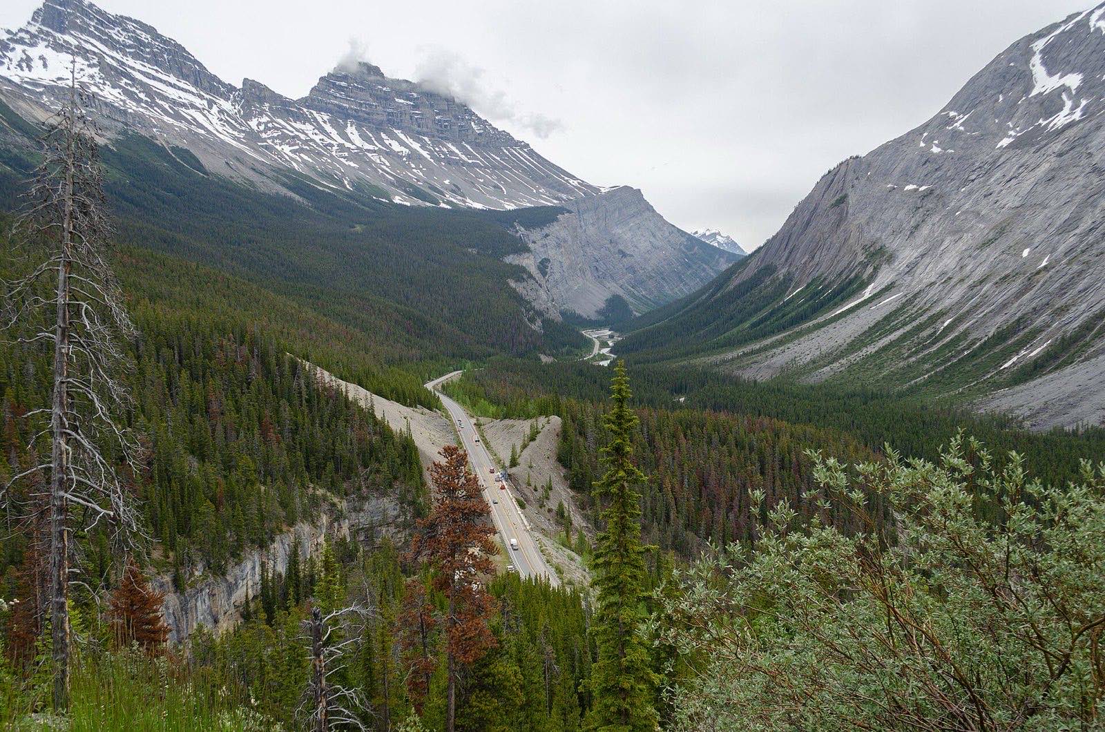 The Icefields Parkway winding through a glacial valley between mountain ranges
