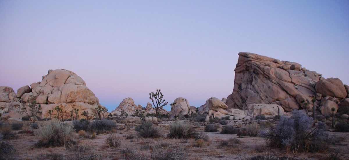 Joshua trees and rounded boulder piles at sunset in the Mojave Desert