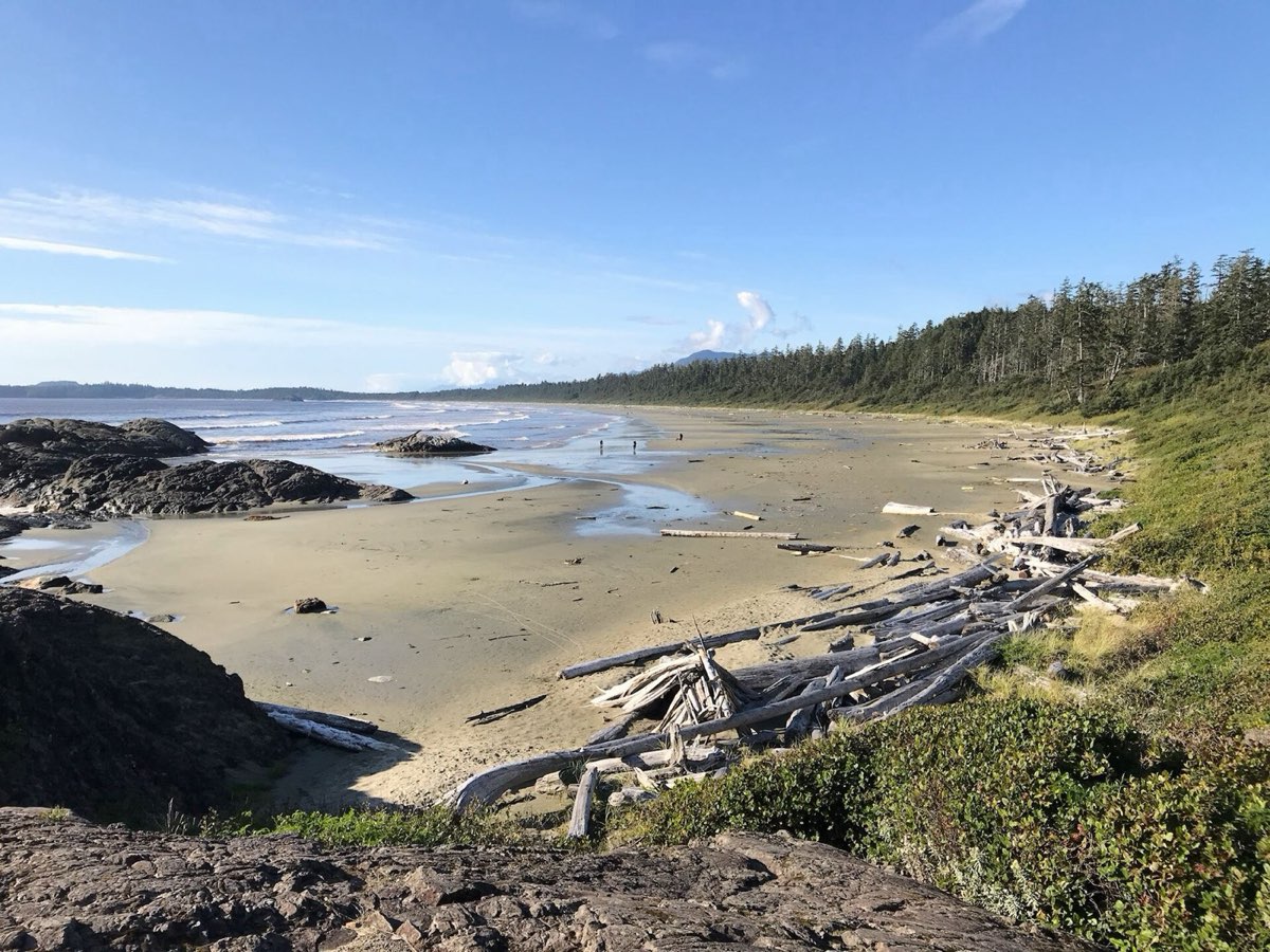 Wide sandy beach with surf and forested headlands at Pacific Rim