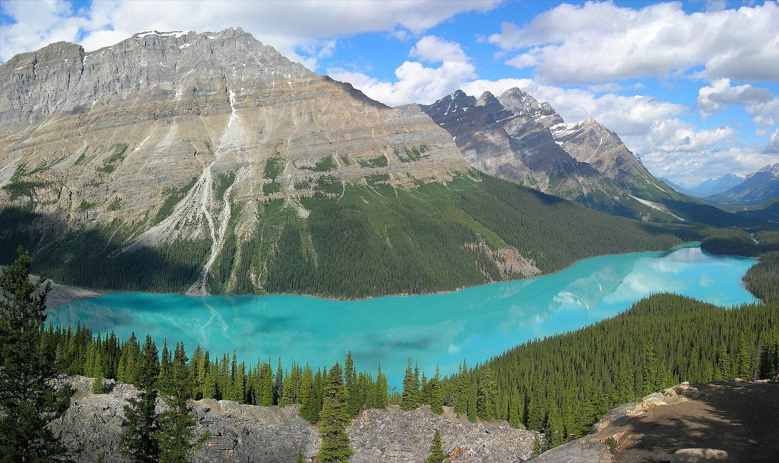 Peyto Lake's turquoise wolf-head shape seen from the Bow Summit viewpoint