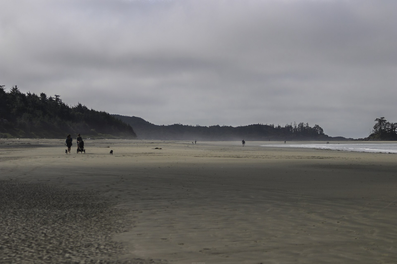 Long Beach near Tofino stretching into sea mist on Vancouver Island