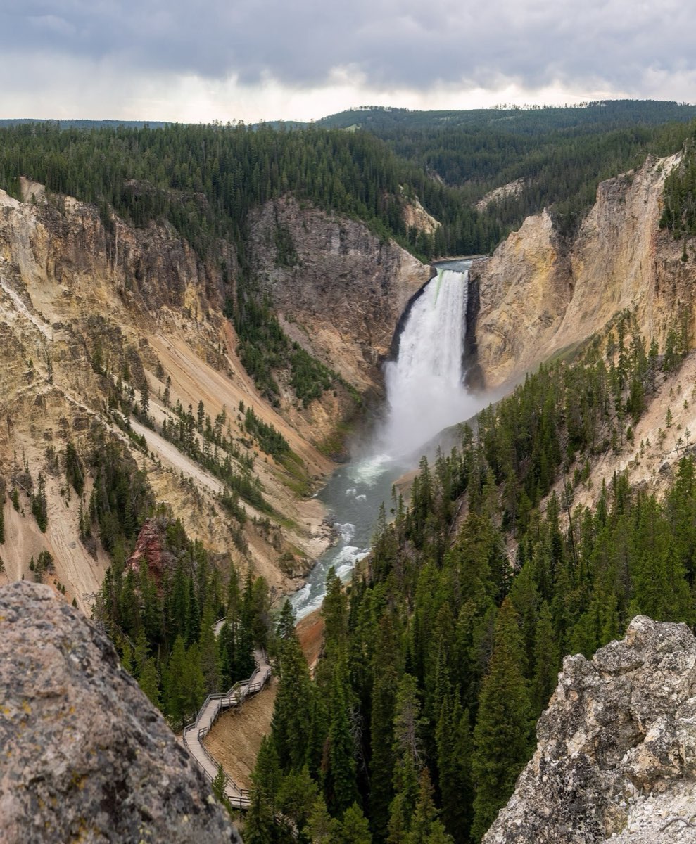 The Lower Falls of the Yellowstone River dropping into a yellow-walled canyon